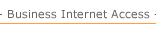 Business Internet Access